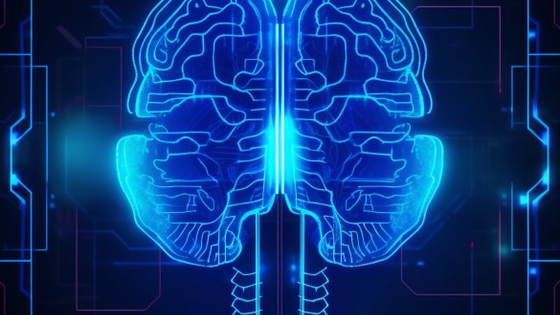 算法推荐代理加盟：风口下的真实门槛在哪